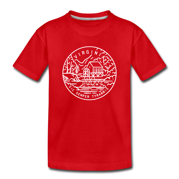 Virginia Youth T-Shirt - State Design Youth Virginia Tee - red