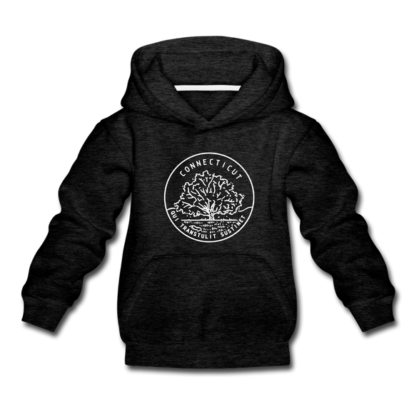 Connecticut Youth Hoodie - State Design Youth Connecticut Hooded Sweatshirt - charcoal gray