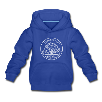 Connecticut Youth Hoodie - State Design Youth Connecticut Hooded Sweatshirt - royal blue