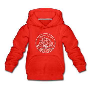 Connecticut Youth Hoodie - State Design Youth Connecticut Hooded Sweatshirt - red