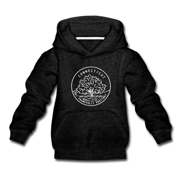 Connecticut Youth Hoodie - State Design Youth Connecticut Hooded Sweatshirt - charcoal gray