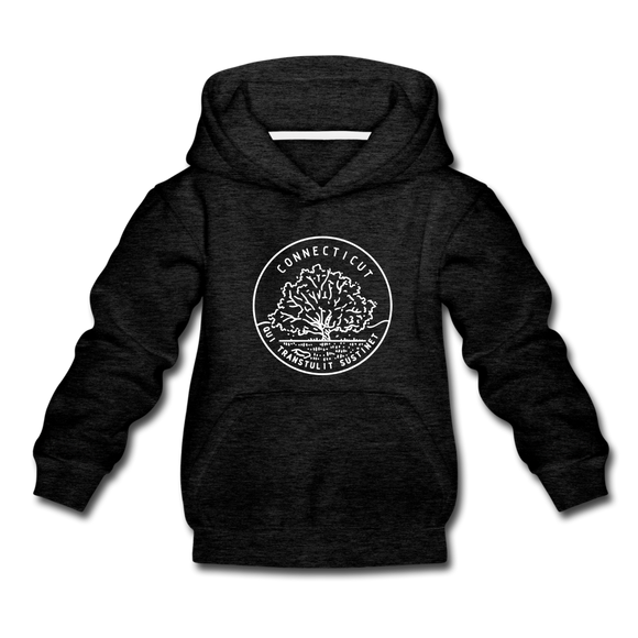Connecticut Youth Hoodie - State Design Youth Connecticut Hooded Sweatshirt - charcoal gray