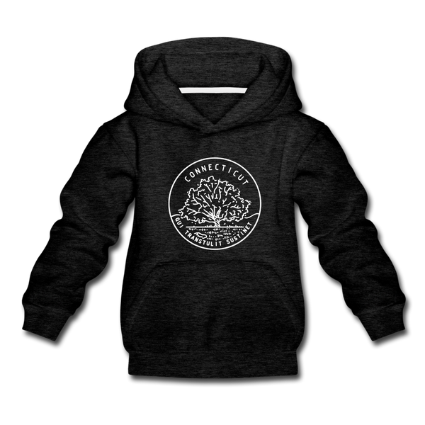 Connecticut Youth Hoodie - State Design Youth Connecticut Hooded Sweatshirt - charcoal gray