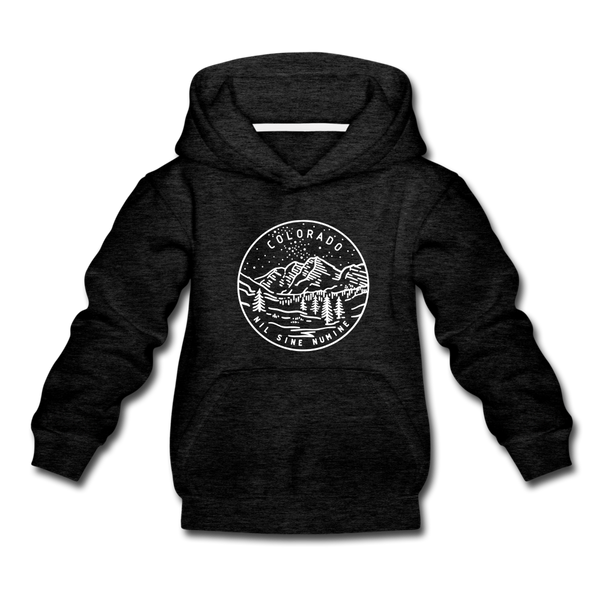 Colorado Youth Hoodie - State Design Youth Colorado Hooded Sweatshirt - charcoal gray