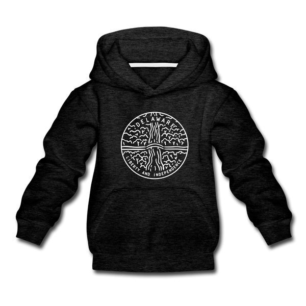 Delaware Youth Hoodie - State Design Youth Delaware Hooded Sweatshirt - charcoal gray