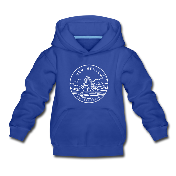 New Mexico Youth Hoodie - State Design Youth New Mexico Hooded Sweatshirt - royal blue