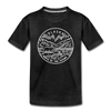 Alaska Toddler T-Shirt - State Design Alaska Toddler Tee - charcoal gray