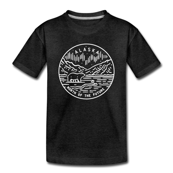 Alaska Toddler T-Shirt - State Design Alaska Toddler Tee - charcoal gray