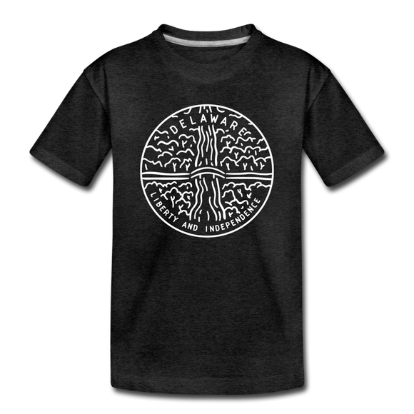 Delaware Toddler T-Shirt - State Design Delaware Toddler Tee - charcoal gray