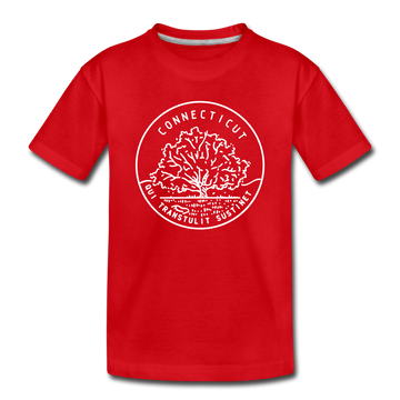 Connecticut Toddler T-Shirt - State Design Connecticut Toddler Tee - red