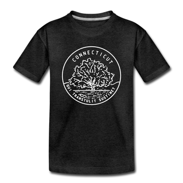 Connecticut Toddler T-Shirt - State Design Connecticut Toddler Tee - charcoal gray