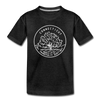Connecticut Toddler T-Shirt - State Design Connecticut Toddler Tee - charcoal gray