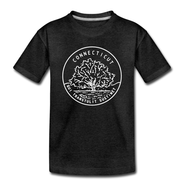 Connecticut Toddler T-Shirt - State Design Connecticut Toddler Tee - charcoal gray