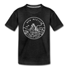 New Mexico Toddler T-Shirt - State Design New Mexico Toddler Tee - charcoal gray