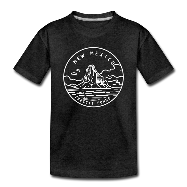 New Mexico Toddler T-Shirt - State Design New Mexico Toddler Tee - charcoal gray