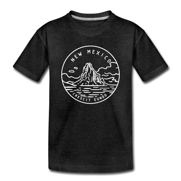New Mexico Toddler T-Shirt - State Design New Mexico Toddler Tee - charcoal gray