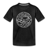 Tennessee Toddler T-Shirt - State Design Tennessee Toddler Tee - charcoal gray