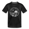 South Carolina Toddler T-Shirt - State Design South Carolina Toddler Tee - charcoal gray