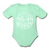 Florida Baby Bodysuit - Organic State Design Florida Baby Bodysuit - light mint