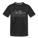Birmingham, Alabama Youth T-Shirt - Skyline Youth Birmingham Tee - black