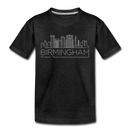 Birmingham, Alabama Youth T-Shirt - Skyline Youth Birmingham Tee - charcoal gray