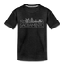Sacramento, California Youth T-Shirt - Skyline Youth Sacramento Tee - charcoal gray
