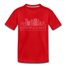Birmingham, Alabama Toddler T-Shirt - Skyline Birmingham Toddler Tee - red
