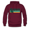 Aspen, Colorado Hoodie - Retro Camping Aspen Hooded Sweatshirt