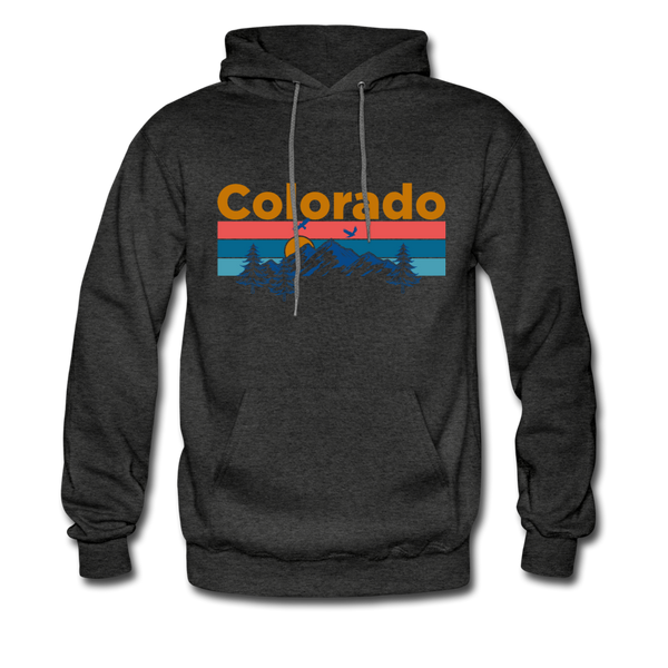 Colorado Hoodie - Retro Mountain & Birds Colorado Hooded Sweatshirt - charcoal gray