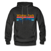 Winter Park, Colorado Hoodie - Retro Mountain & Birds Winter Park Hooded Sweatshirt - charcoal gray