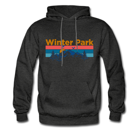 Winter Park, Colorado Hoodie - Retro Mountain & Birds Winter Park Hooded Sweatshirt - charcoal gray