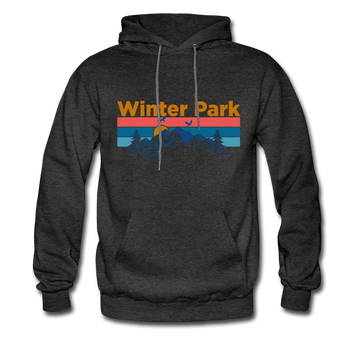 Winter Park, Colorado Hoodie - Retro Mountain & Birds Winter Park Hooded Sweatshirt - charcoal gray