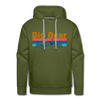 Premium Big Bear, California Hoodie - Retro Mountain & Birds Premium Men's Big Bear Sweatshirt / Hoodie - olive green