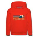 Telluride, Colorado Youth Hoodie - Retro Mountain Youth Telluride Hooded Sweatshirt - red